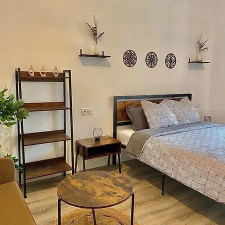 Comfort Chu Lille Guest house